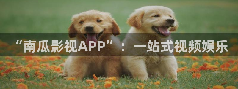 久久精品成人影院