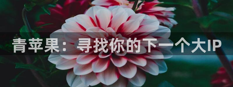 久久午夜免费电影：青苹果：寻找你的下一个大IP