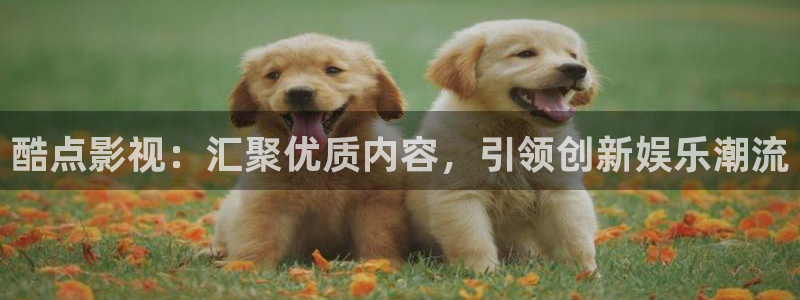 人久久影院：酷点影视：汇聚优质内容，引领创新娱乐潮流