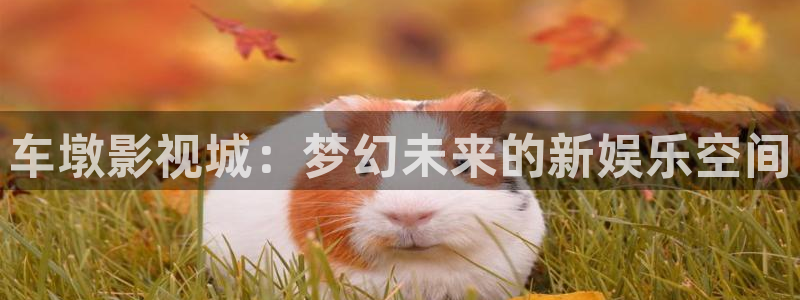 福利影院久久：车墩影视城：梦幻未来的新娱乐空间