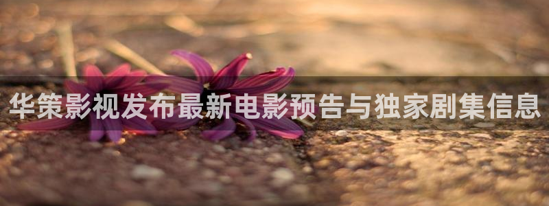 婷婷久久电影：华策影视发布最新电影预告与独家剧集信息